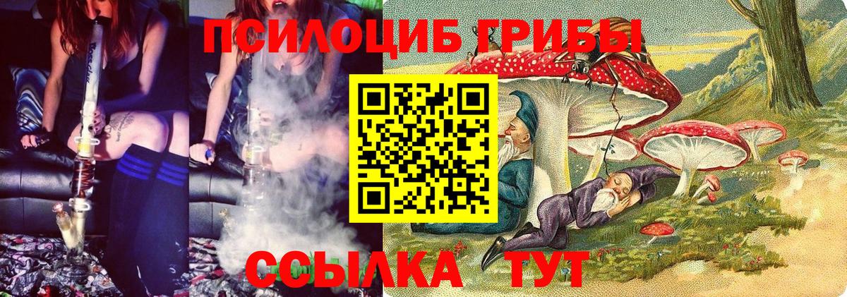 Галлюциногенные грибы прущие грибы  Вход с VPN  Назрань 